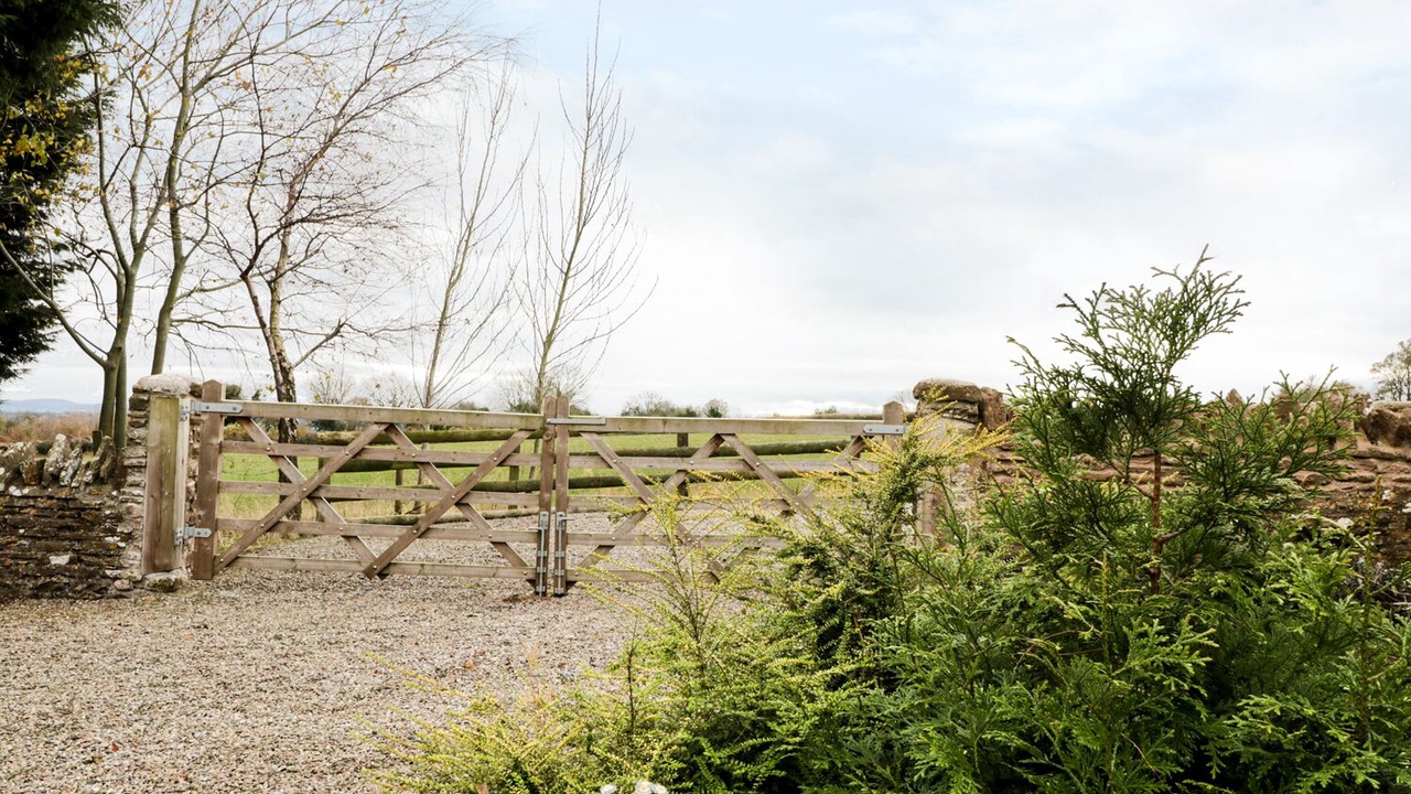 Photo of Others in Carey