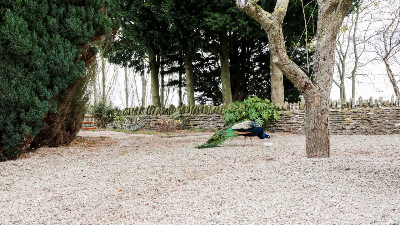 Photo of Others in Carey