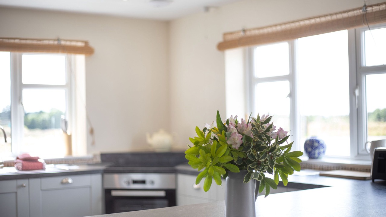 Photo of Others in Tenbury Wells