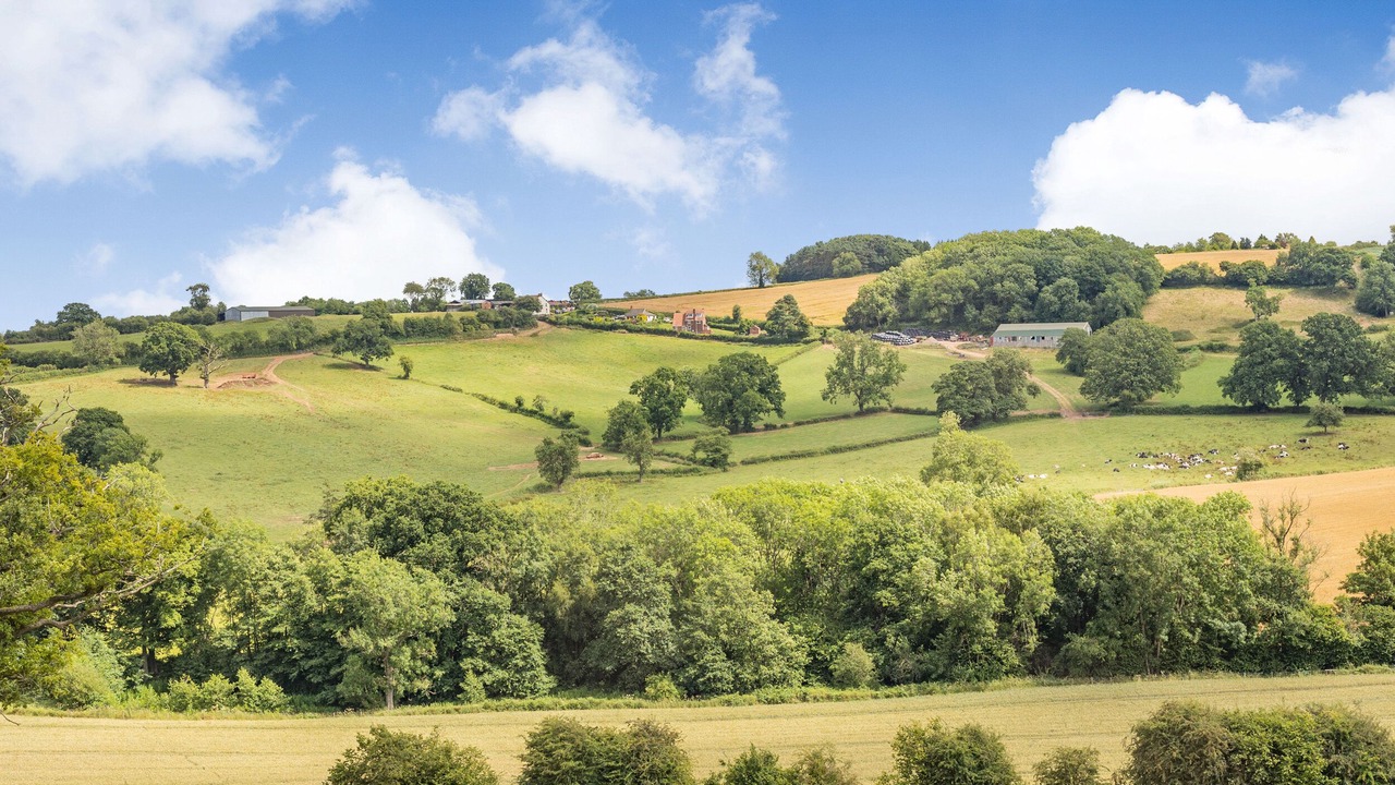 Photo of Others in Tenbury Wells