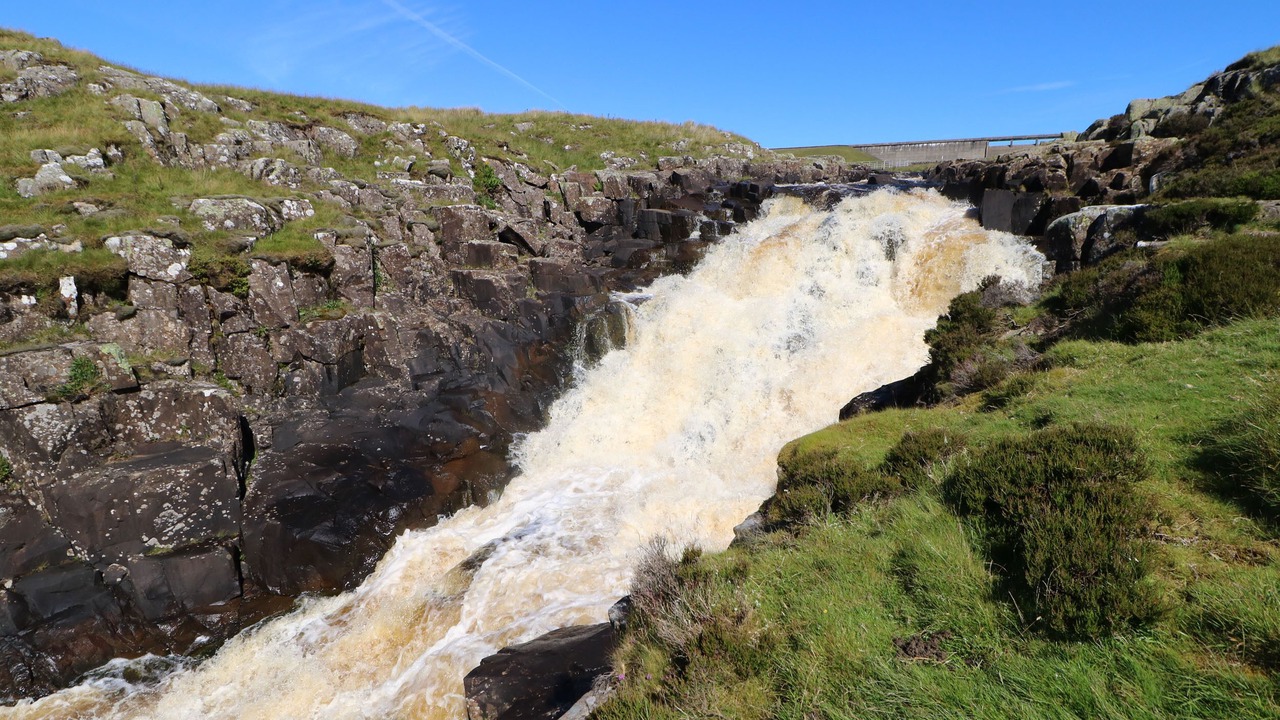 Photo of Others in Staindrop