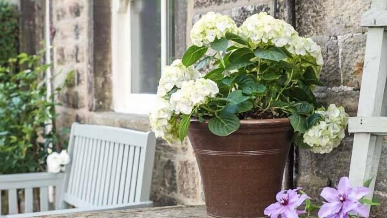 Photo of Others in Addingham