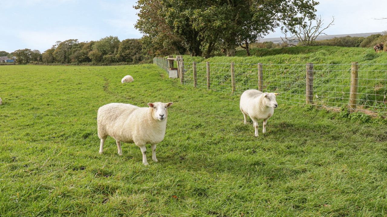 Photo of Others in Bont Newydd