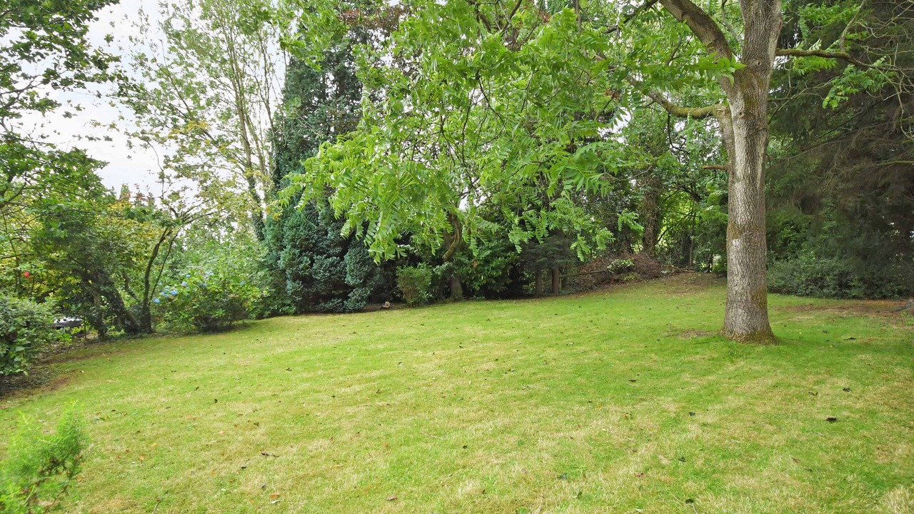 Photo of Others in Farley