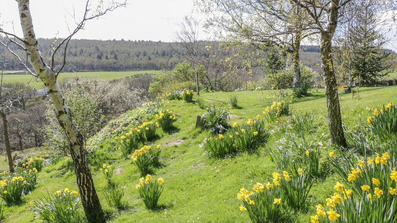 Photo of Others in Scarborough