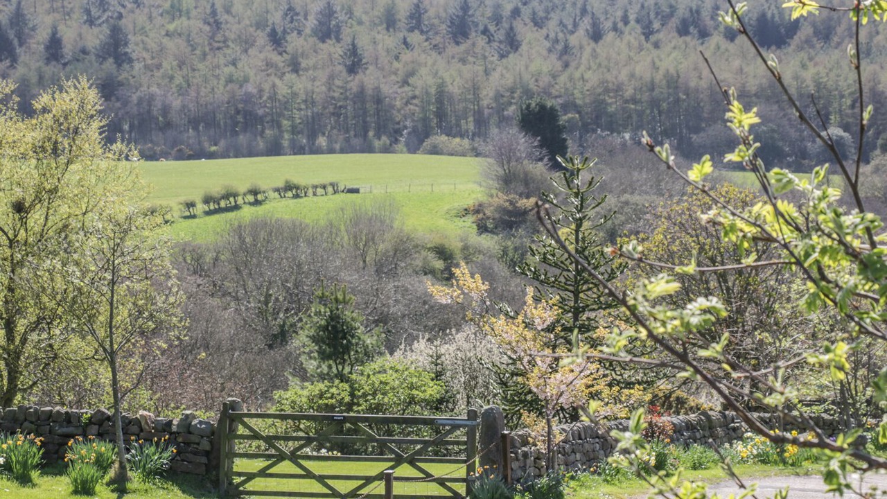 Photo of Others in Scarborough