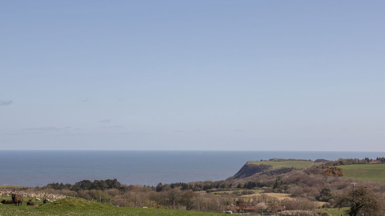 Photo of Others in Scarborough