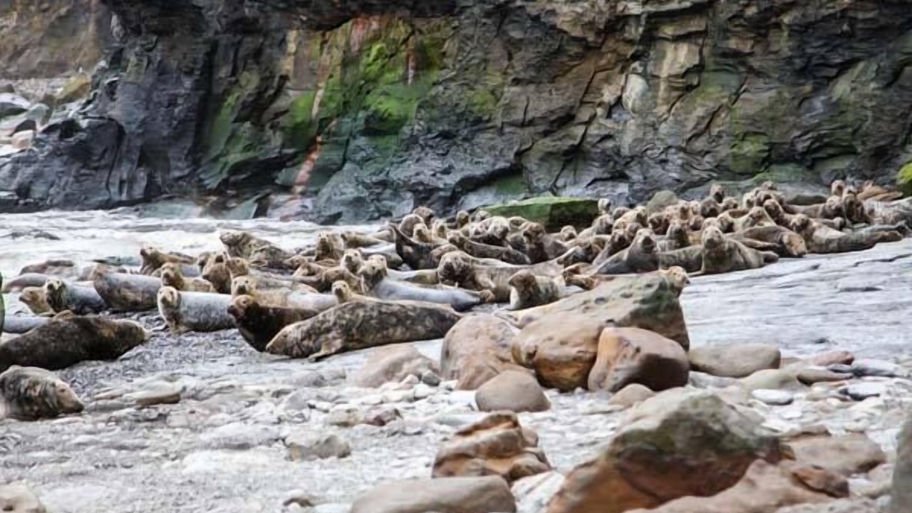 Photo of Others in Scarborough