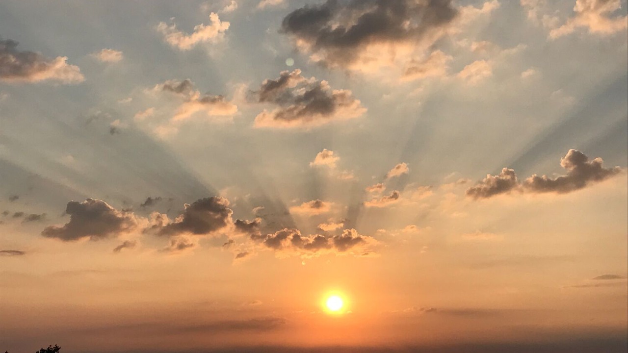 Photo of Others in Scarborough