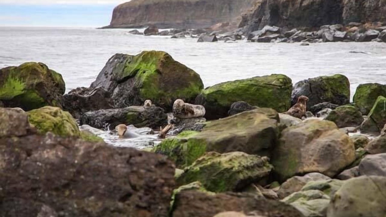 Photo of Others in Staintondale