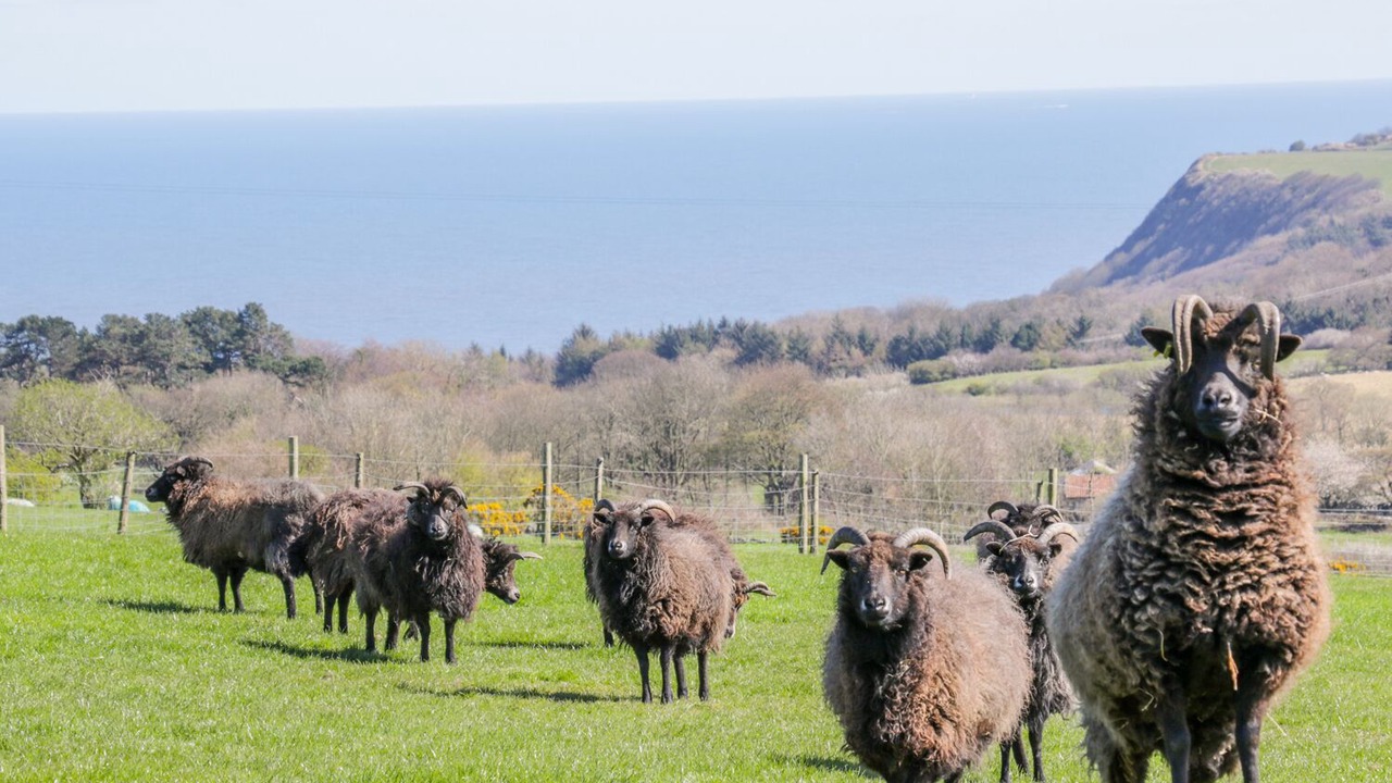 Photo of Others in Staintondale