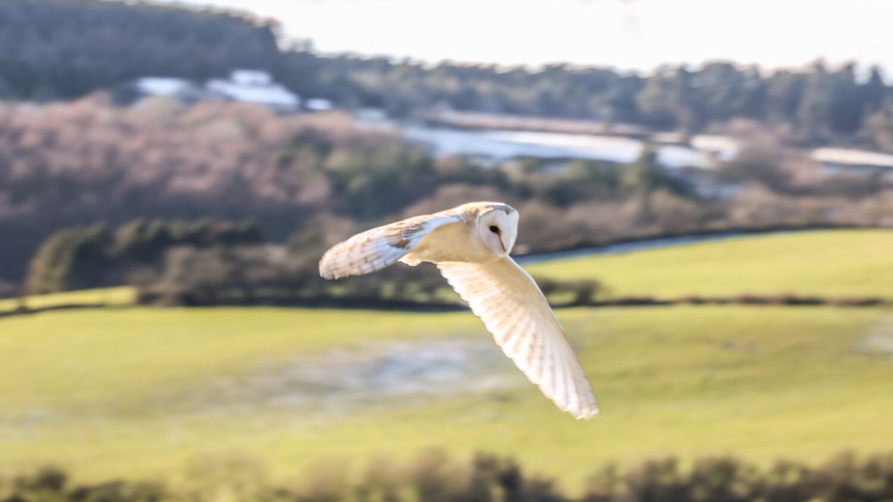 Photo of Others in Staintondale