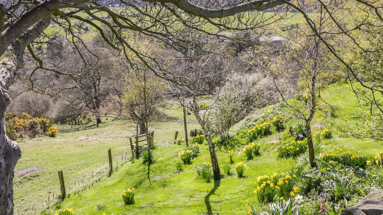 Photo of Others in Staintondale