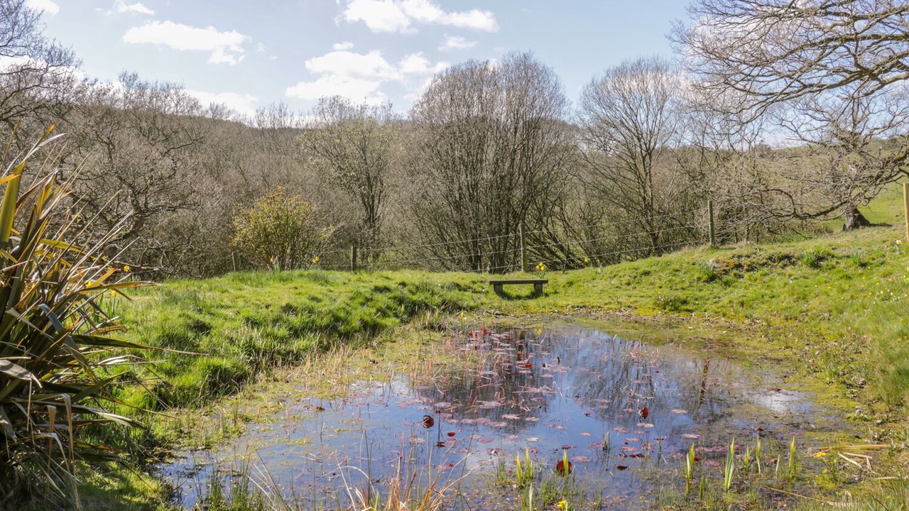 Photo of Others in Staintondale