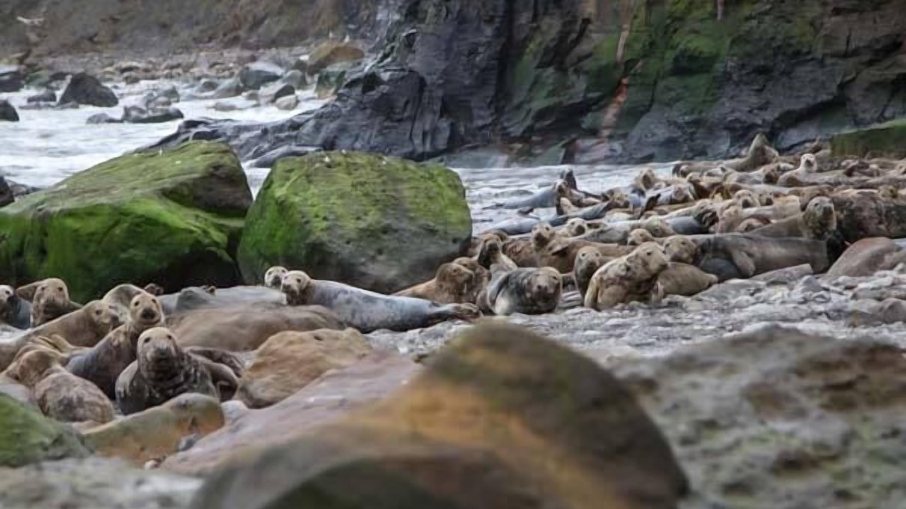 Photo of Others in Staintondale