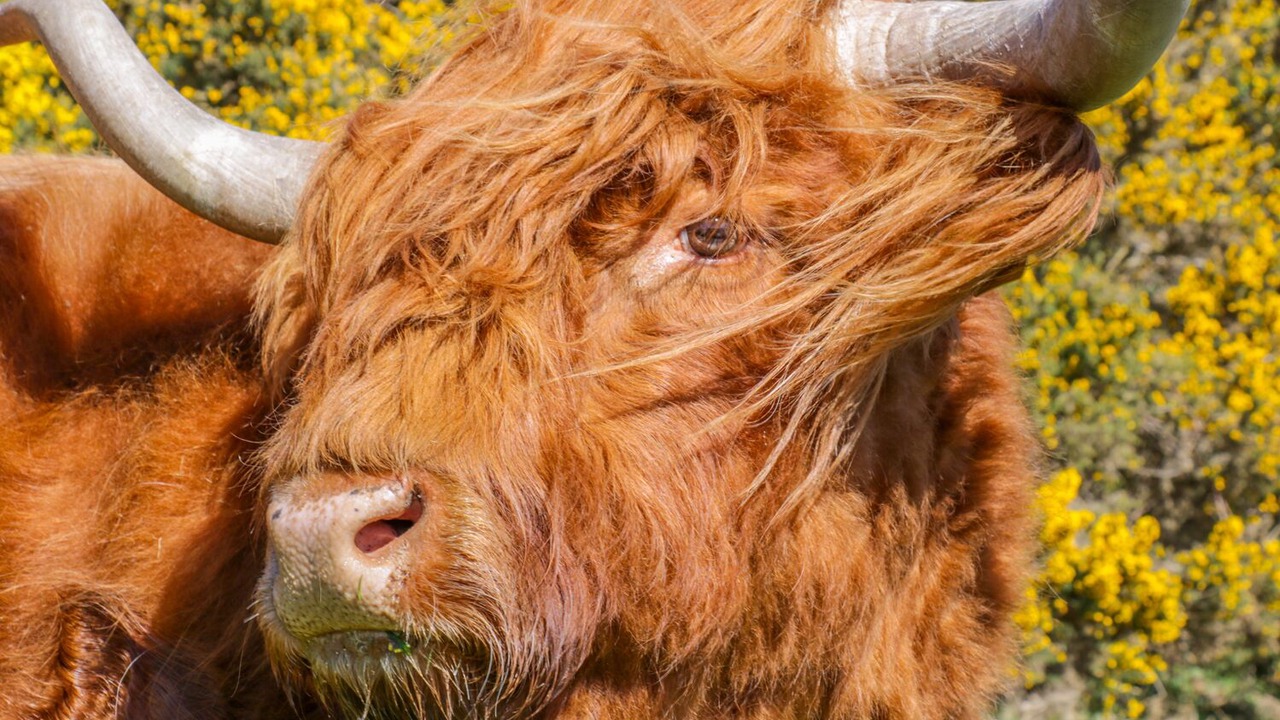 Photo of Others in Staintondale