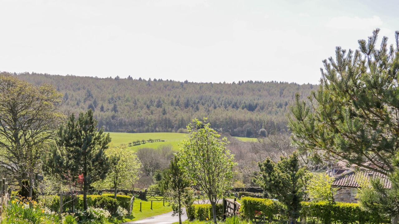 Photo of Others in Staintondale