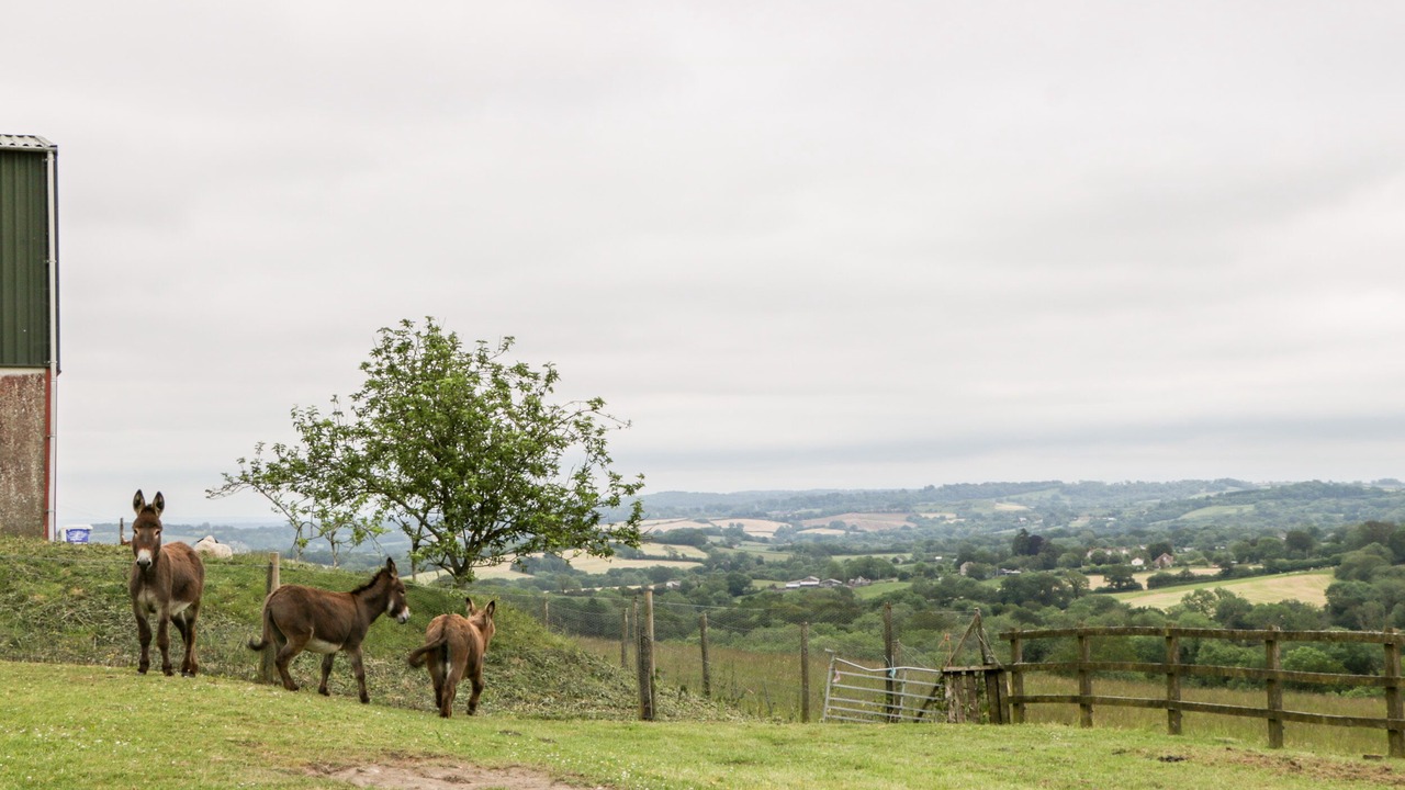 Photo of Others in North Perrott