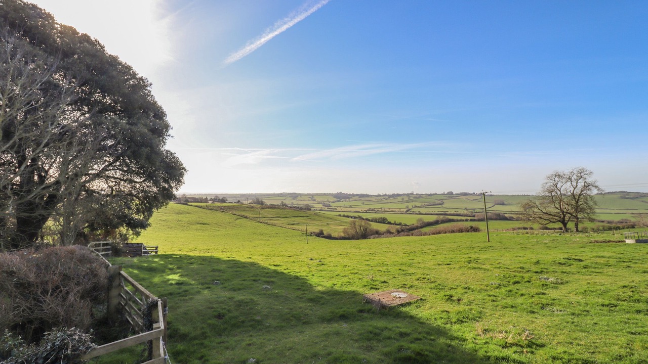 Photo of Others in Hartwell