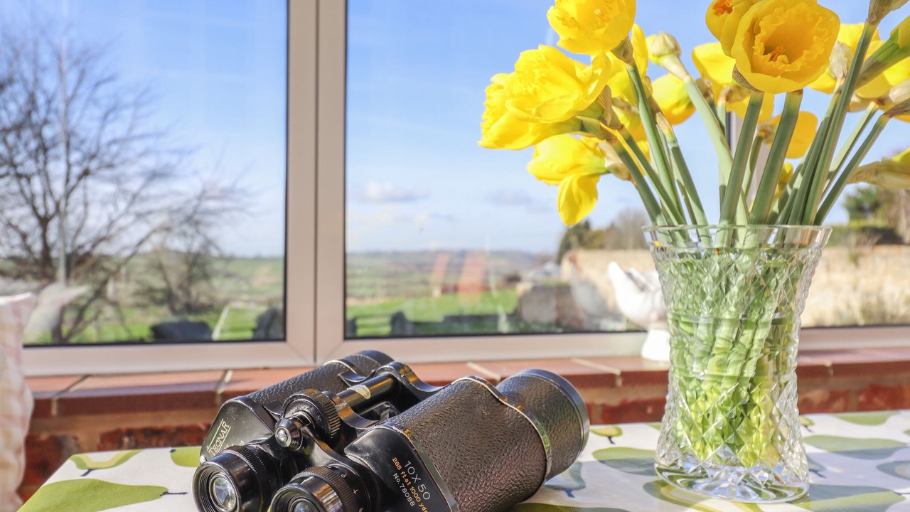 Photo of Others in Hartwell