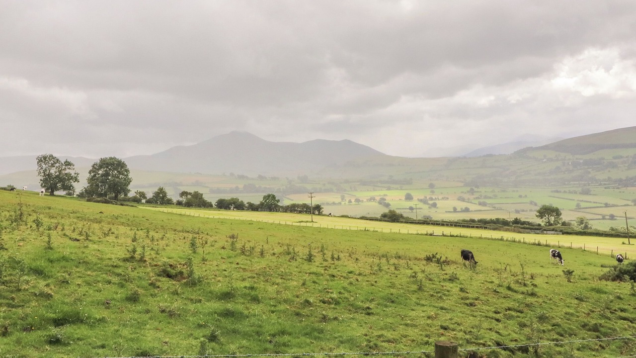 Photo of Others in Boltongate