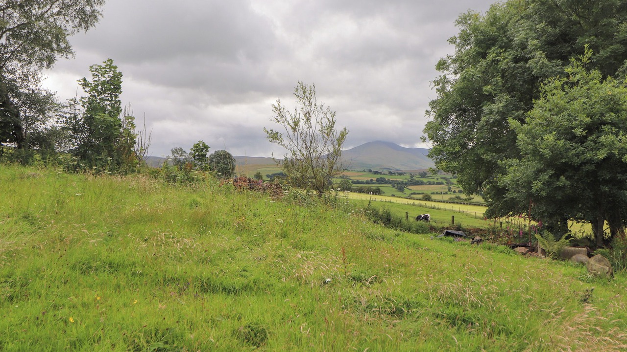 Photo of Others in Boltongate