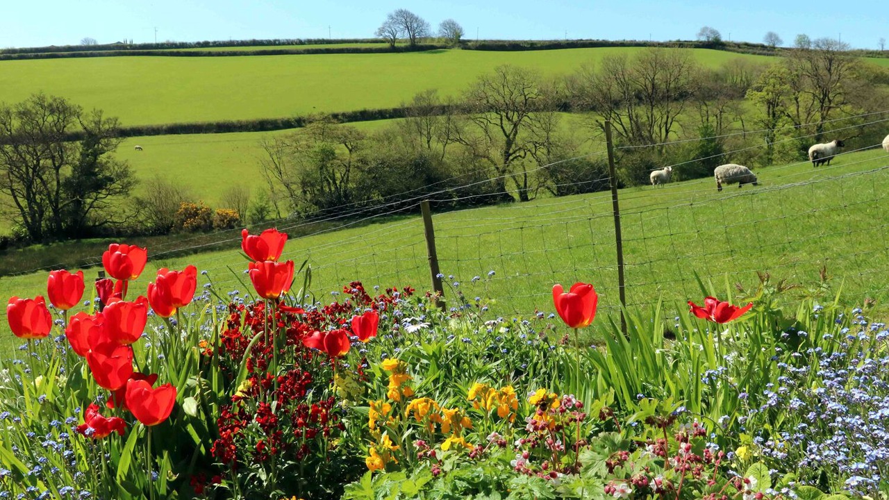 Photo of Others in Bideford