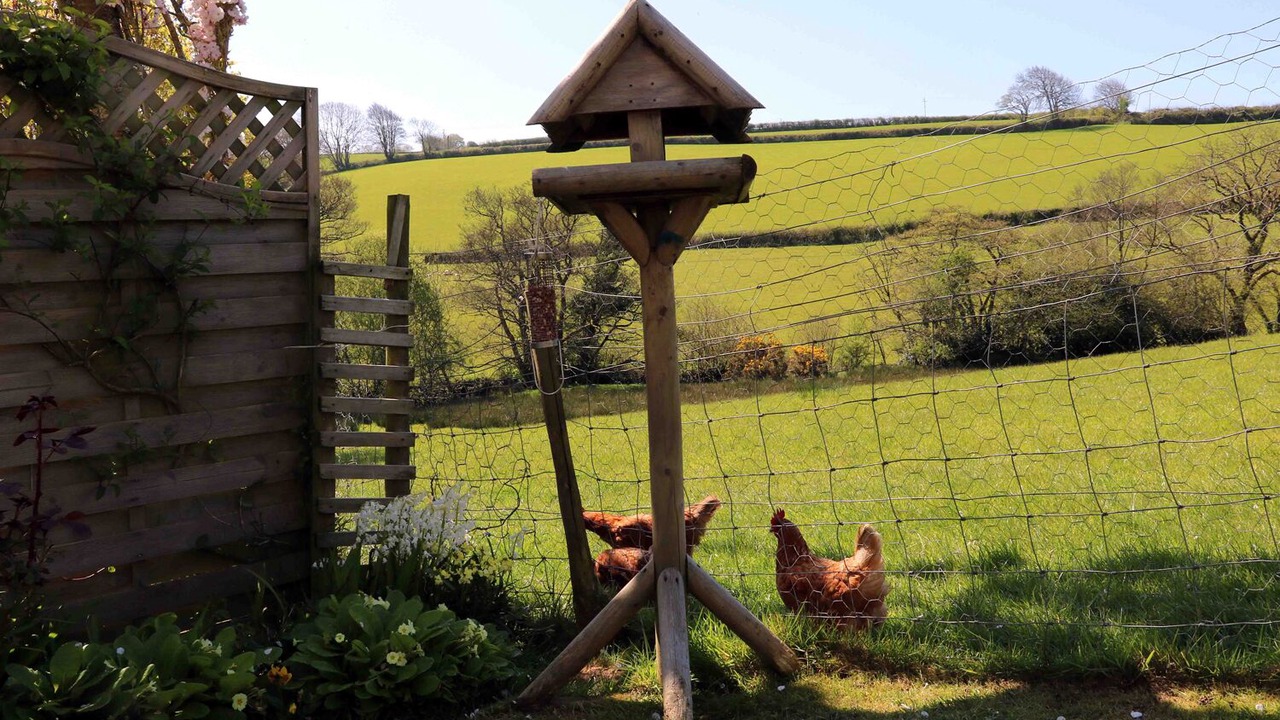 Photo of Others in Bideford