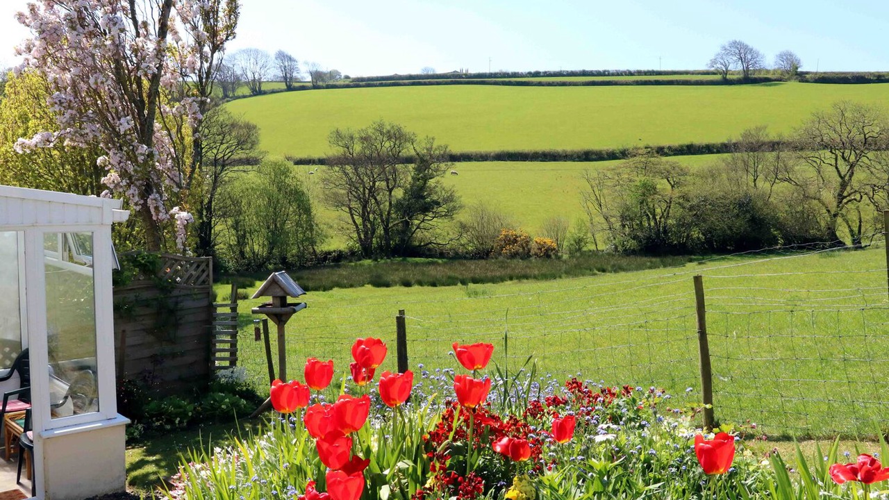 Photo of Others in Bideford