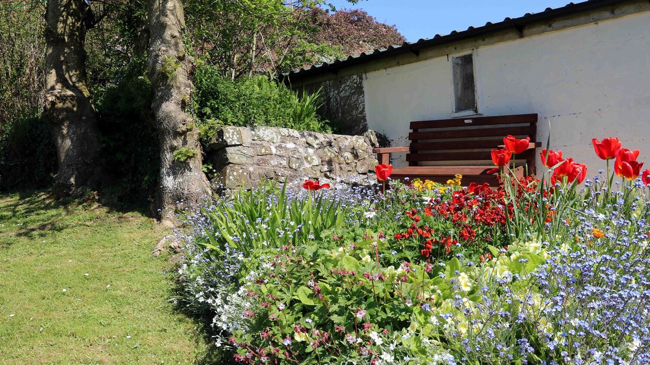 Photo of Others in Bideford