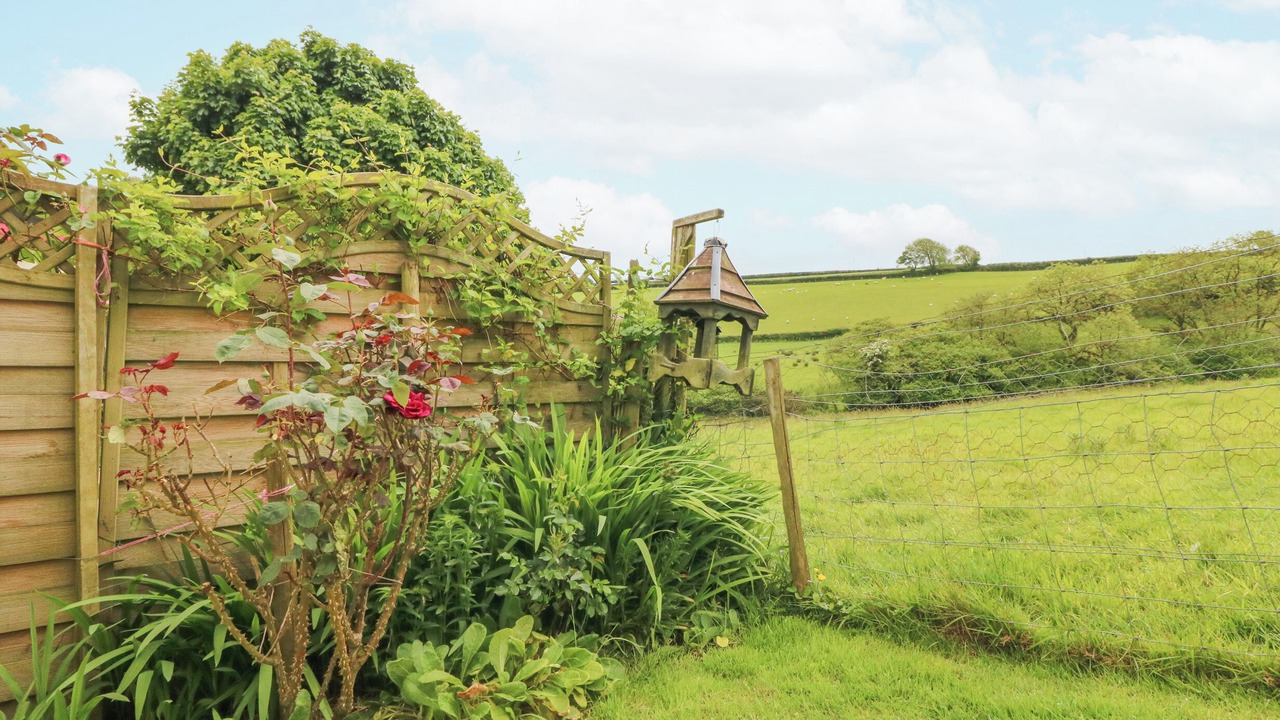 Photo of Others in Bideford