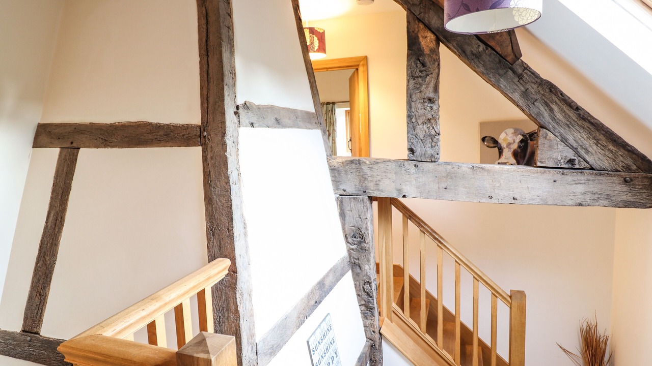 Photo of Others in Llanidloes