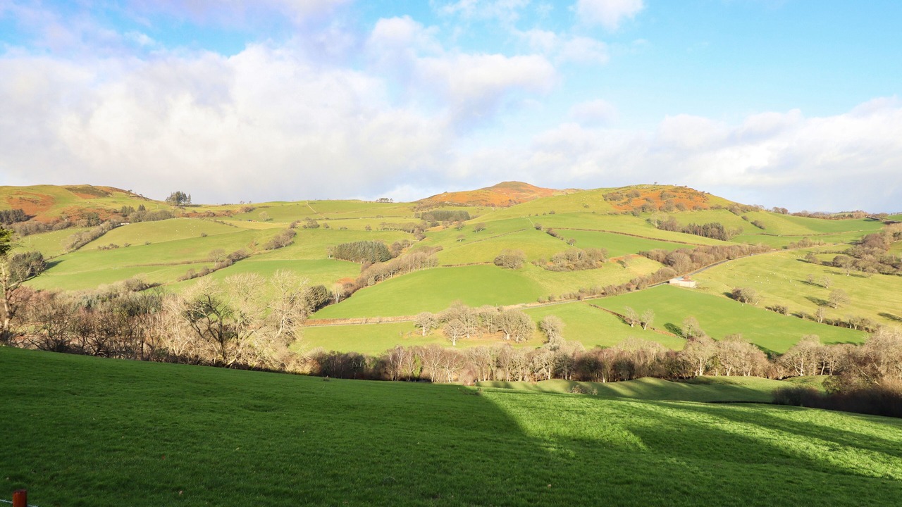 Photo of Others in Llanidloes