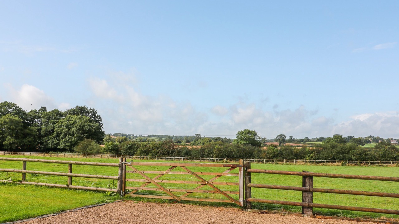 Photo of Others in Hollington