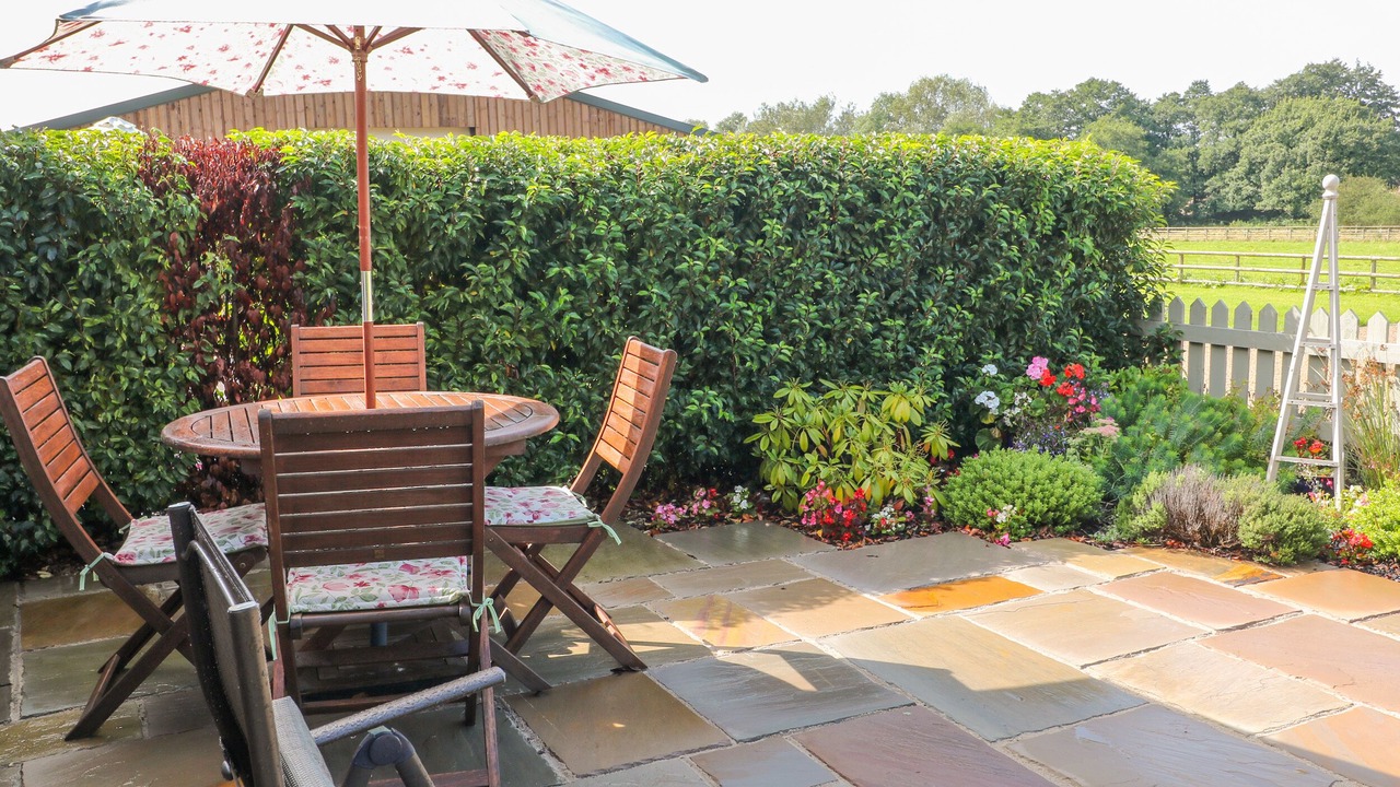 Photo of Others in Hollington