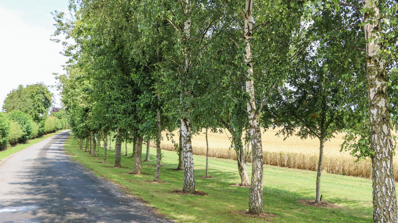 Photo of Others in Northallerton