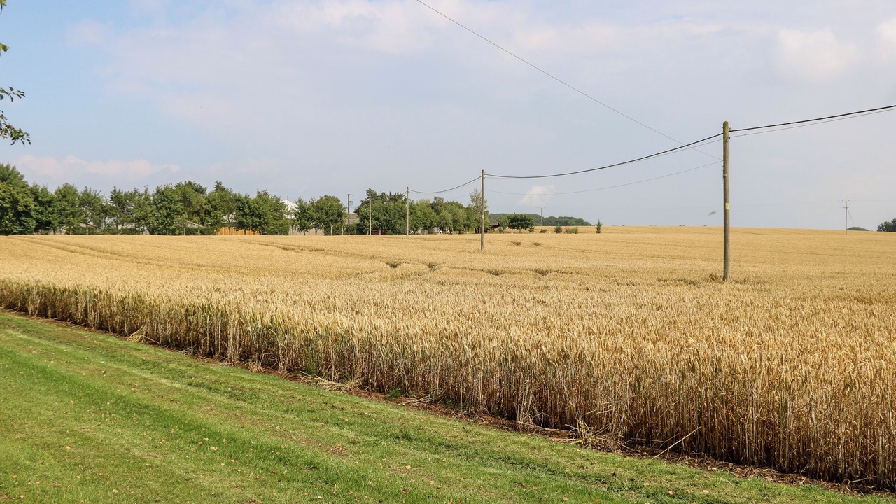 Photo of Others in Northallerton