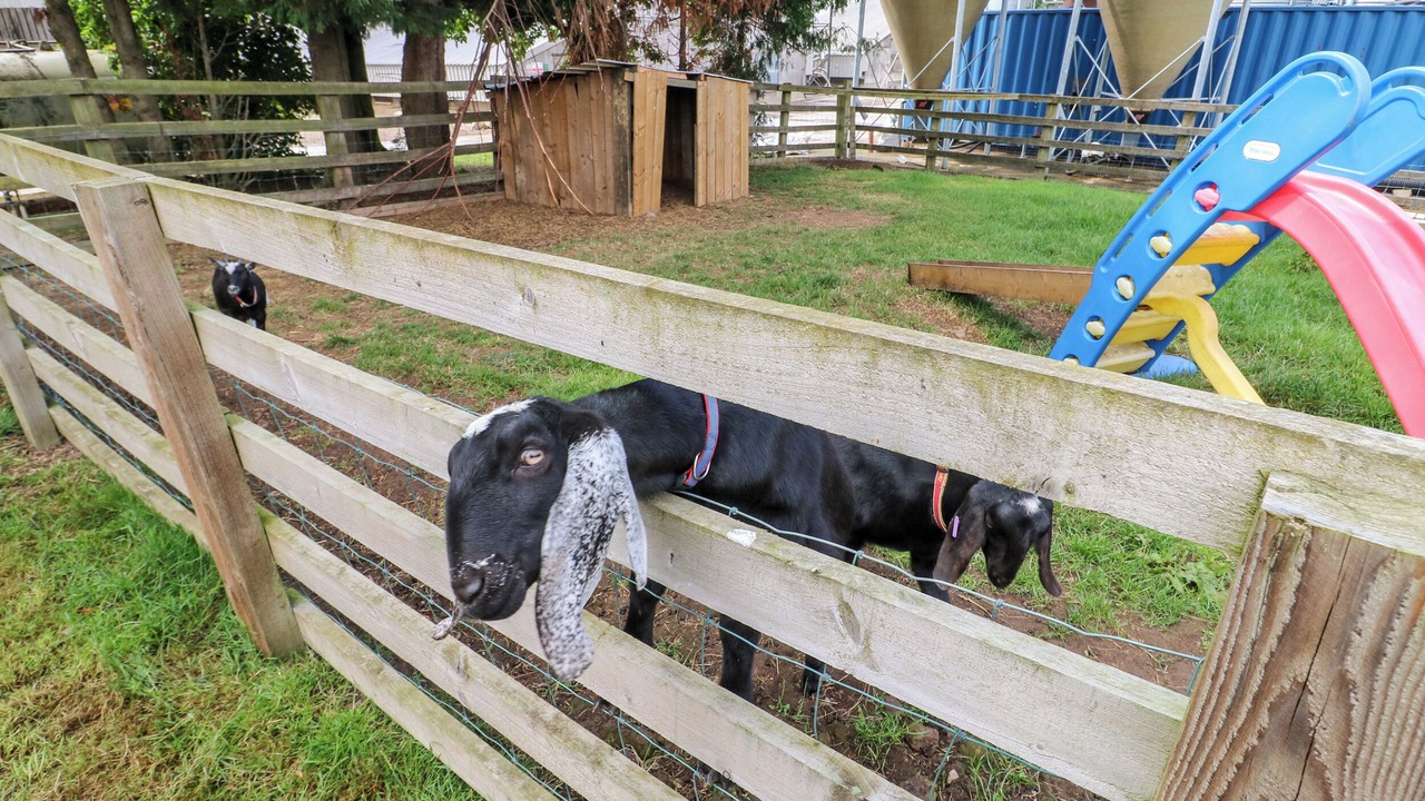 Photo of Others in Northallerton