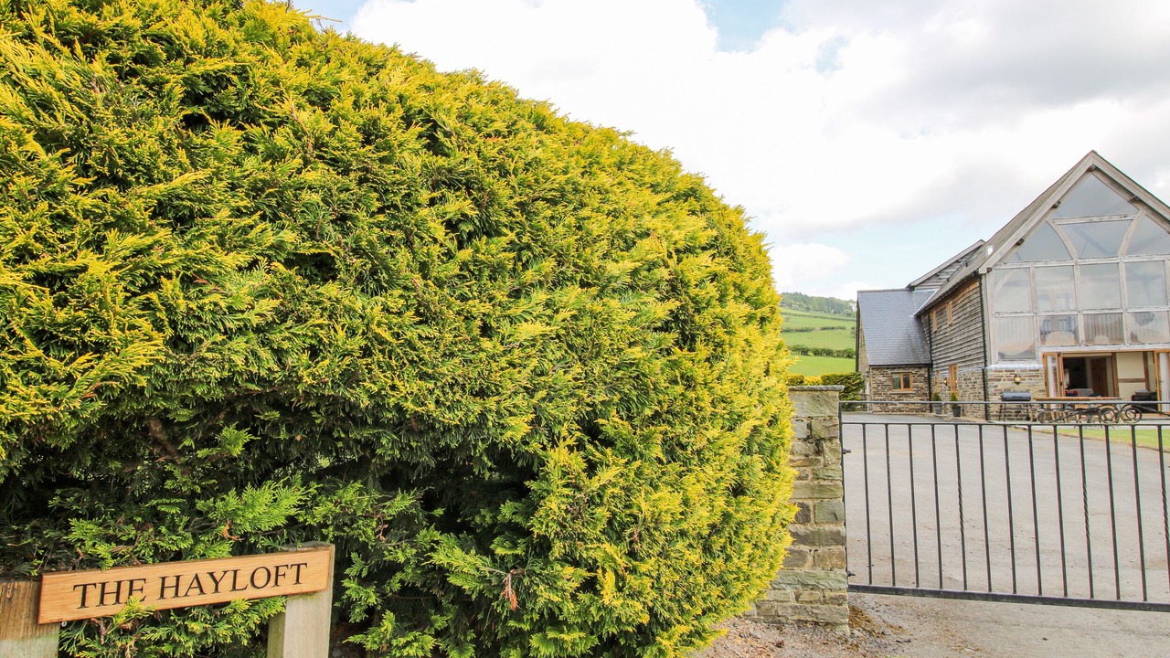 Photo of Others in Tirabad