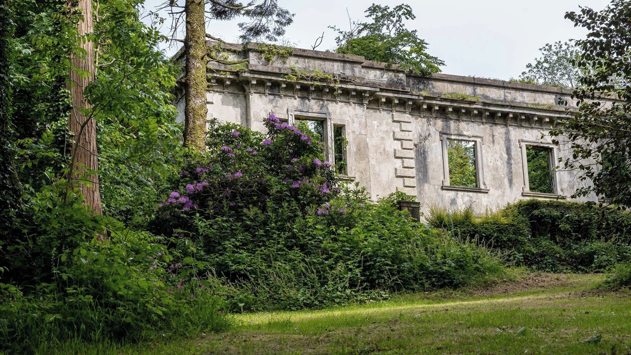 Photo of Others in Llandefeilog