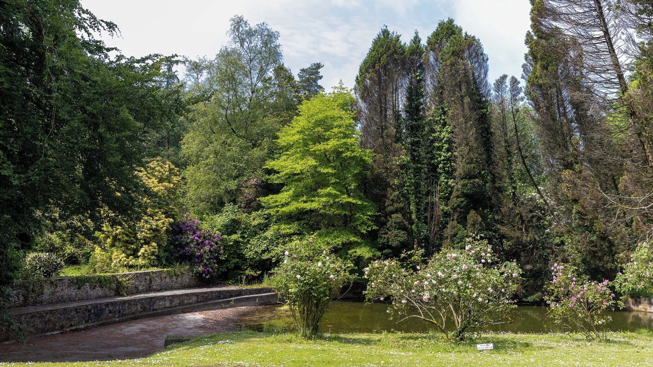 Photo of Others in Llandefeilog