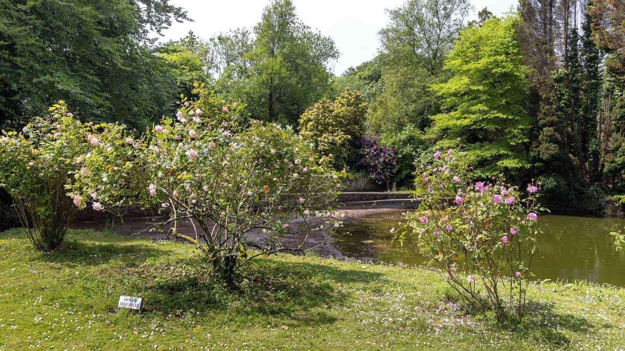 Photo of Others in Llandefeilog