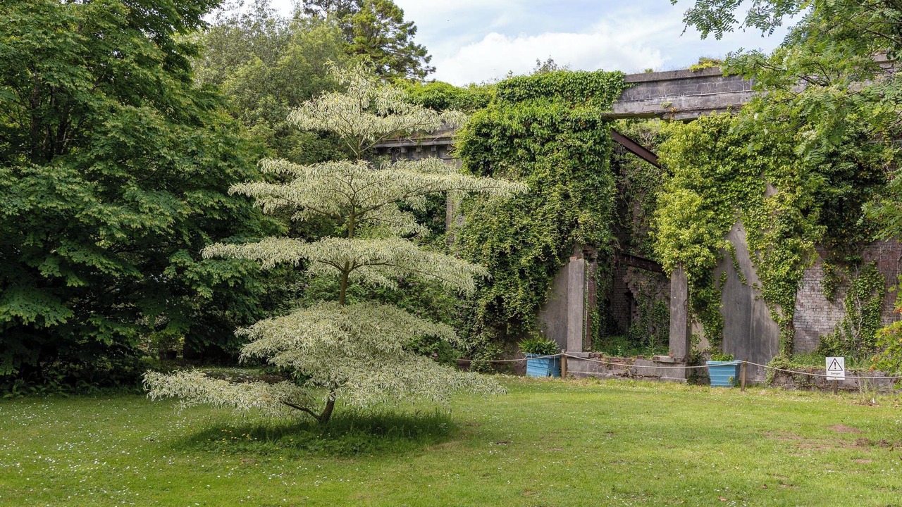 Photo of Others in Llandefeilog