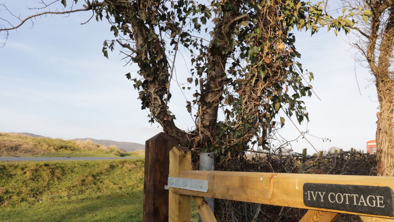 Photo of Others in Hay-on-Wye