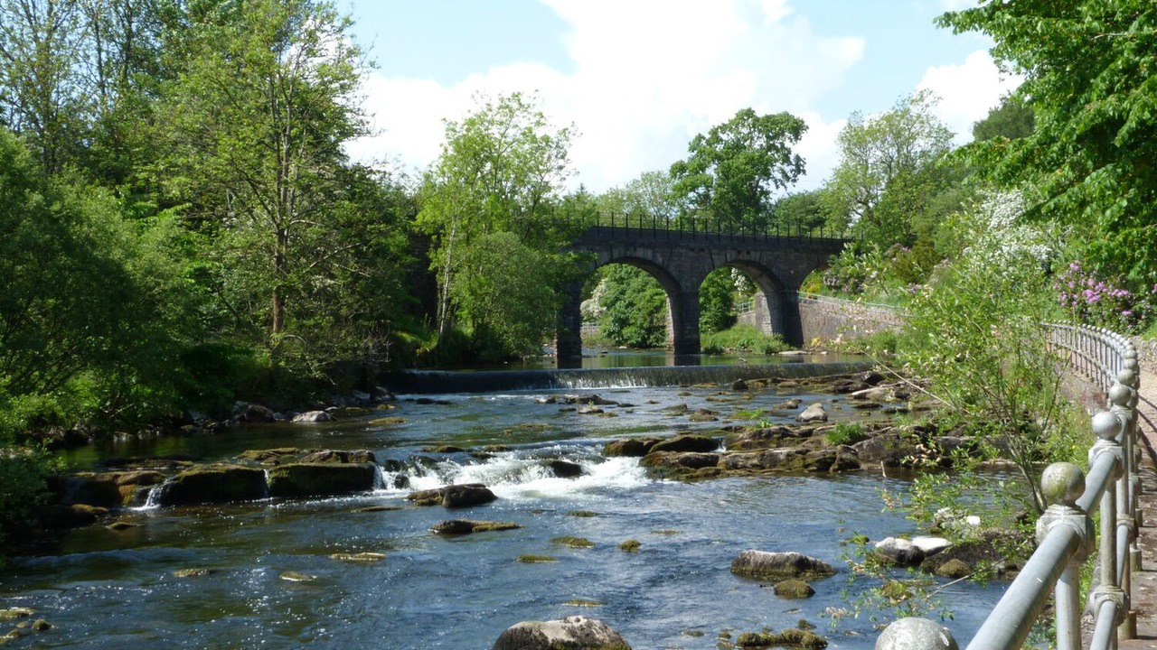 Photo of Others in Dunblane