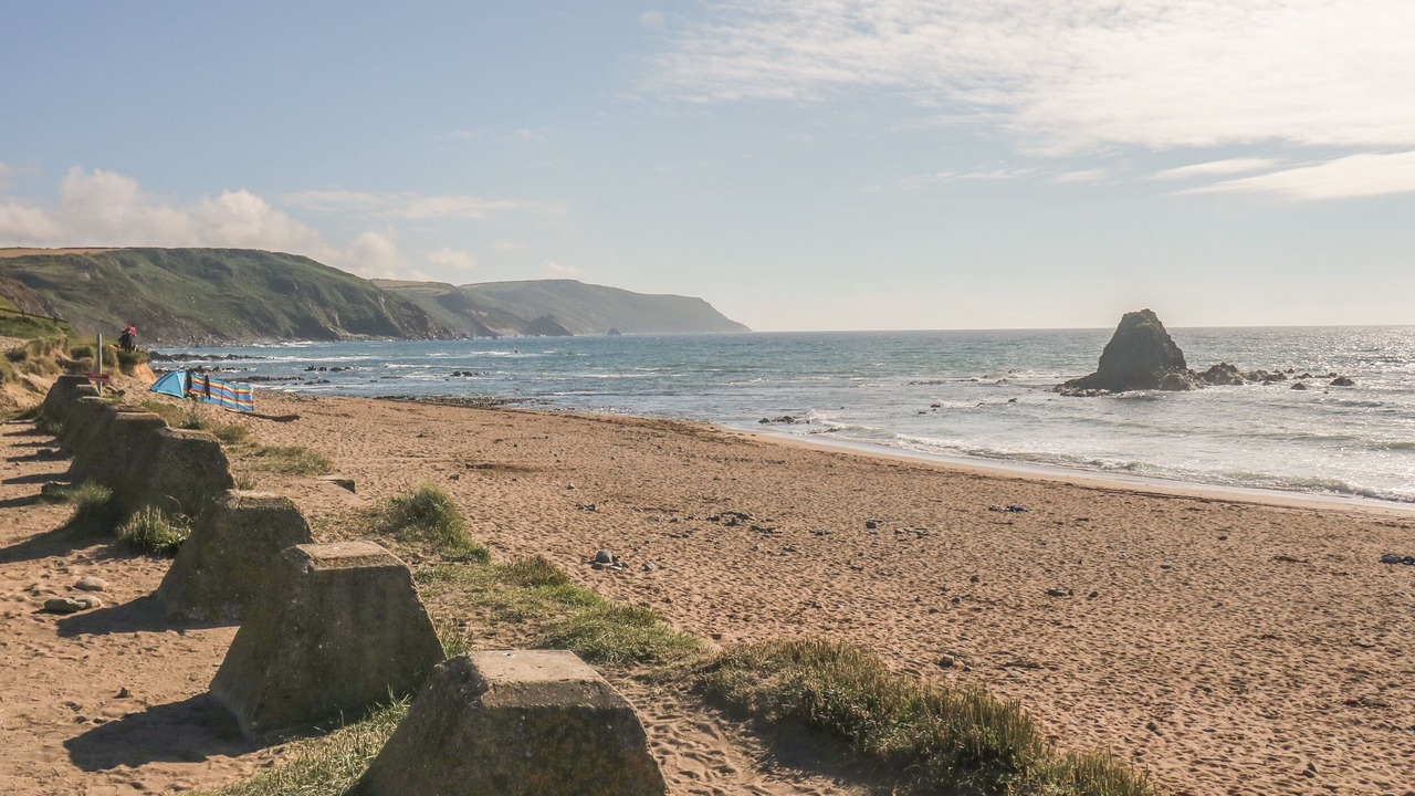 Photo of Others in Brazzacott