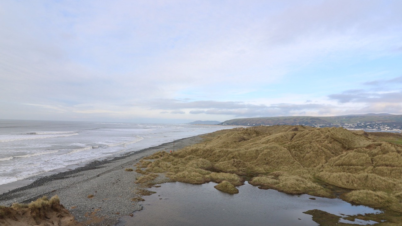 Photo of Others in Borth