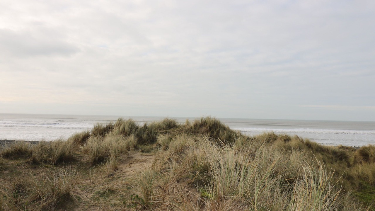 Photo of Others in Borth