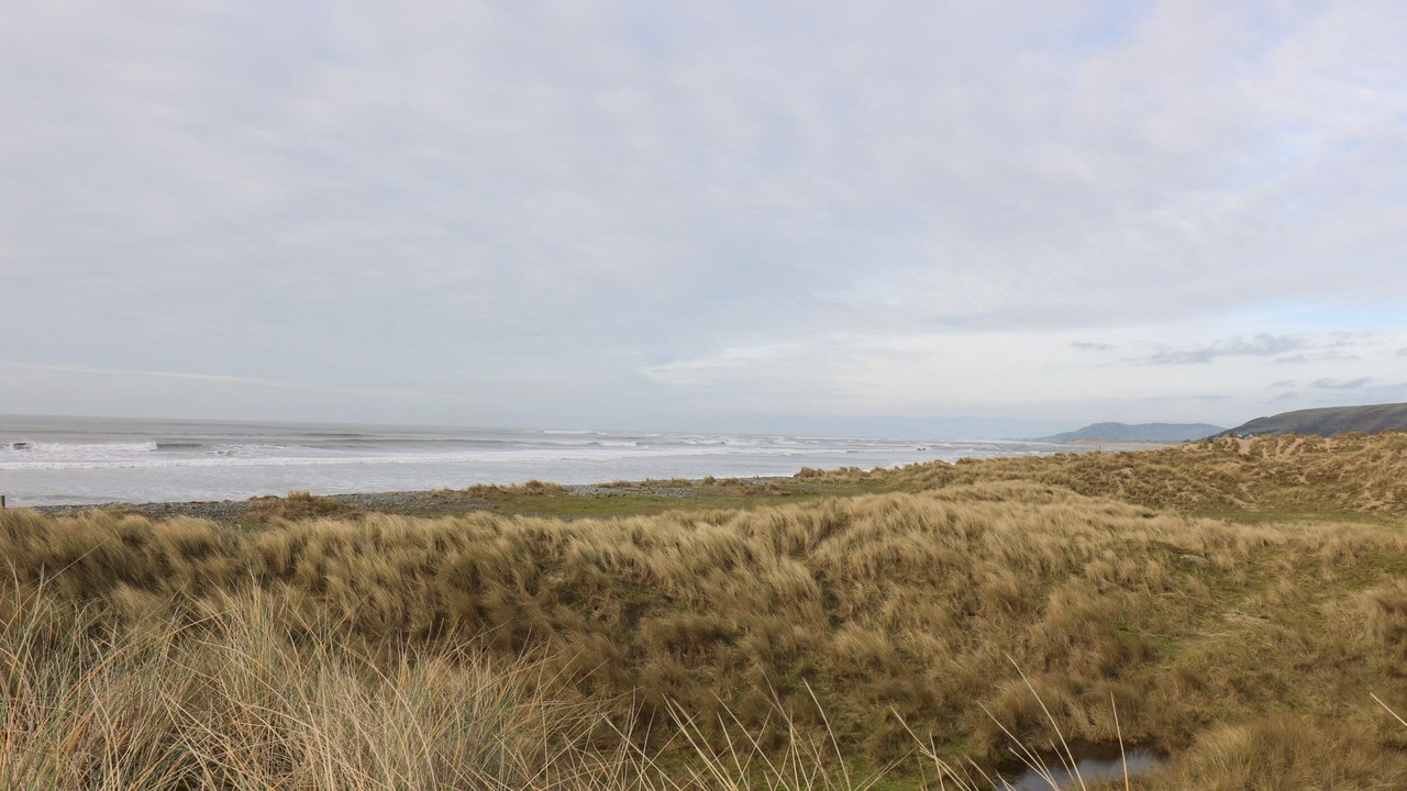 Photo of Others in Borth