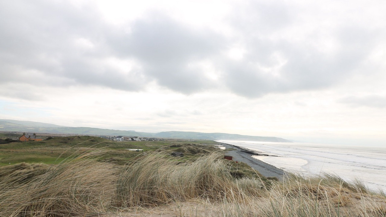 Photo of Others in Borth